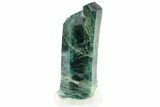 Lustrous, Blue-Green Fluorapatite Crystal - New Find! #243399-1